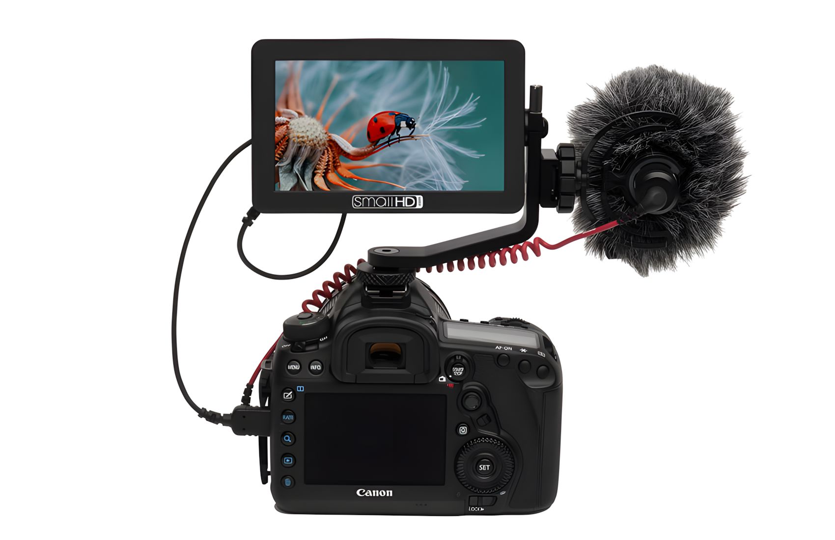 Focus-Tilt-Arm