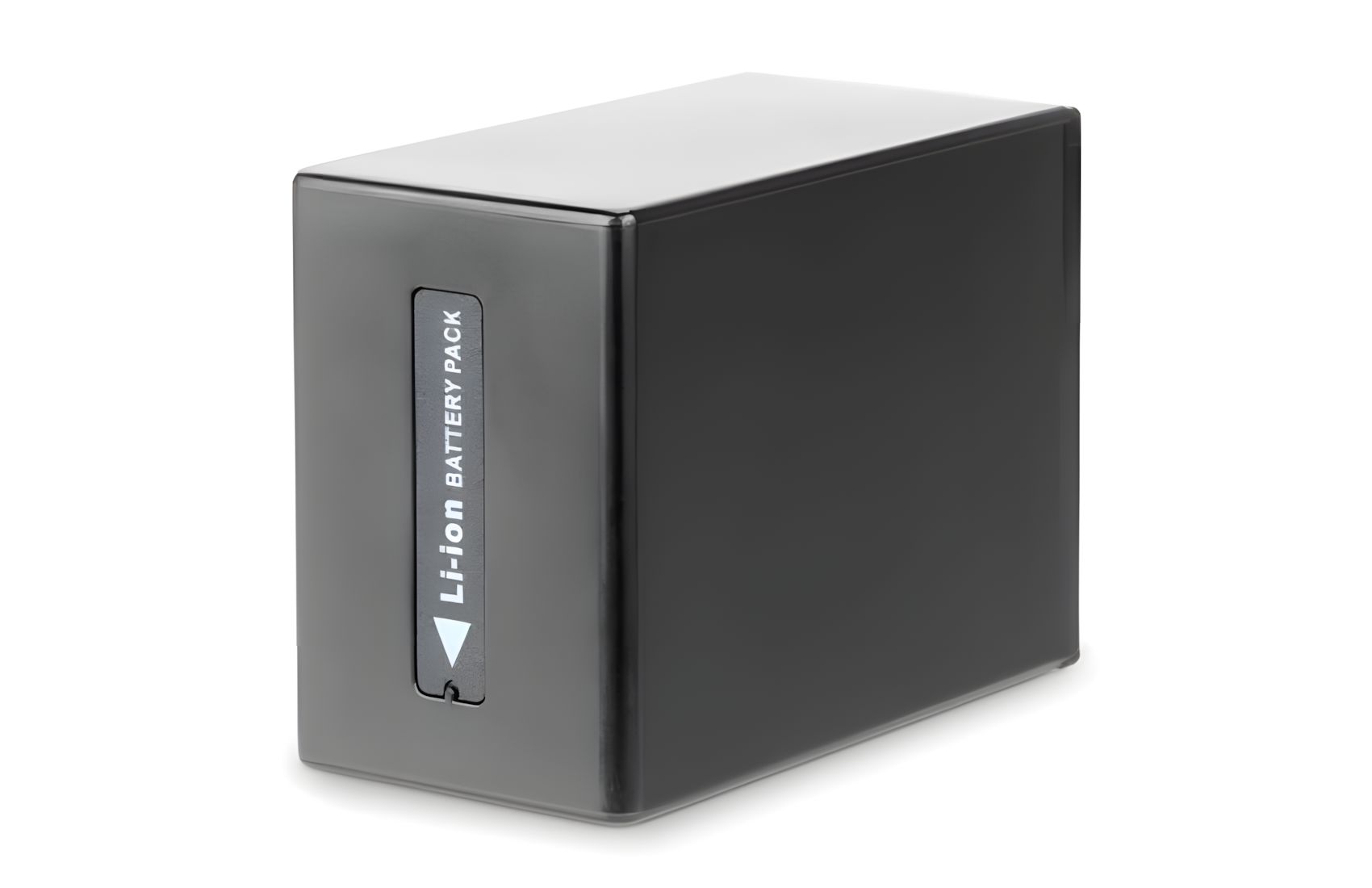 FS-FV100