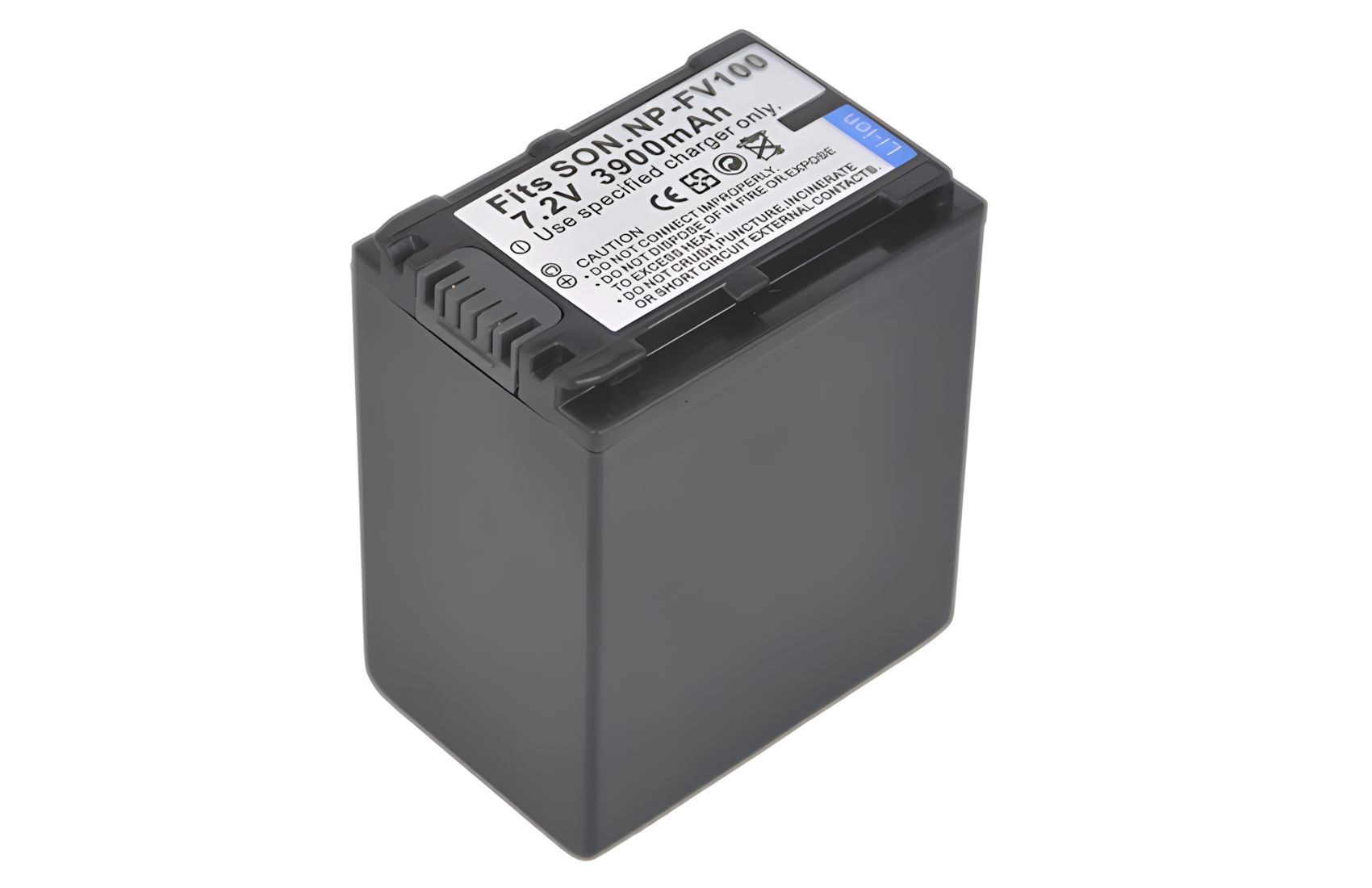FS-FV100