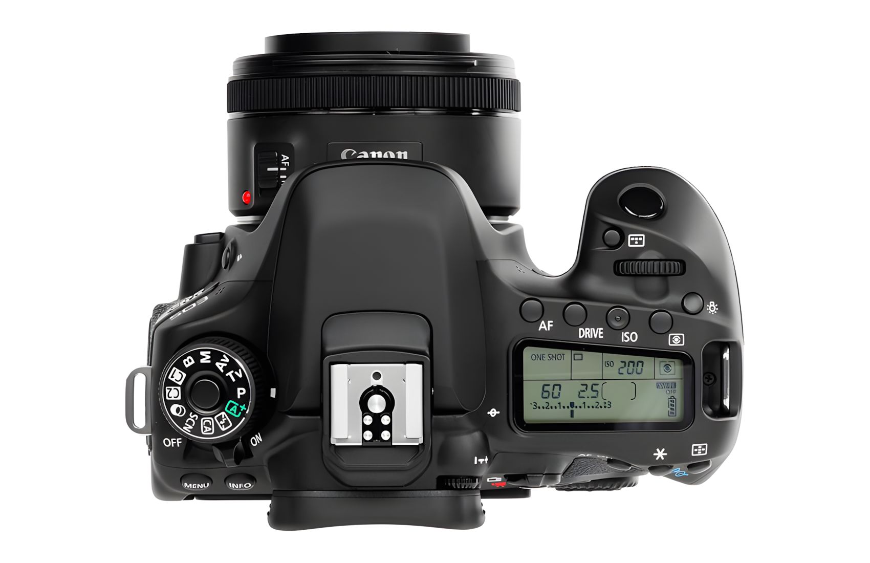 80D