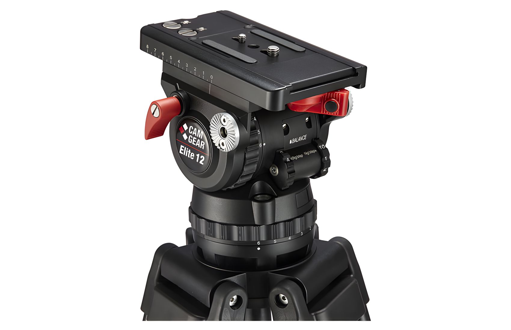 Elite 12 MS CF 100