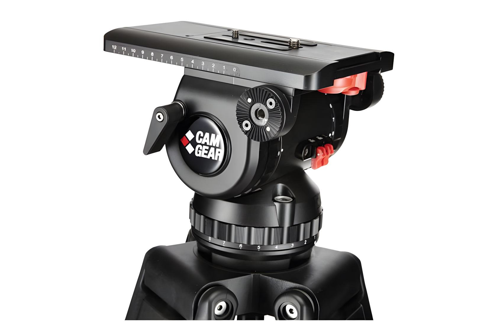 V25P EFP CF GS