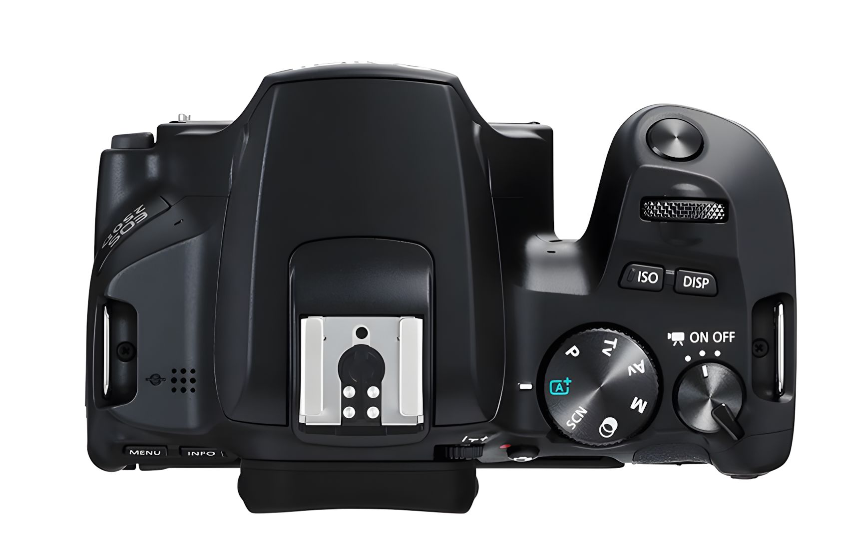 EOS 250D with 18-55mm f/4