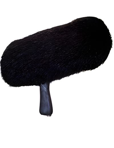 Windshield for Boom