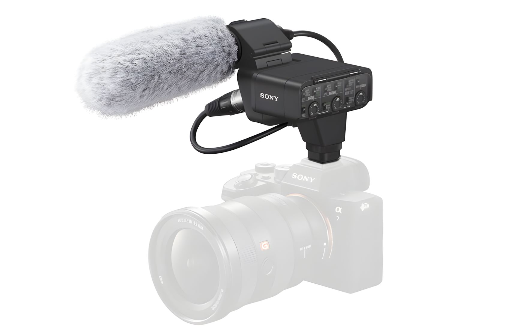 Dual CH Digital XLR w Shotgun