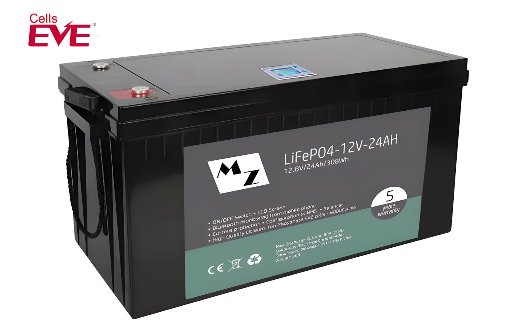 LiFePO4 308Wh 12V 24Ah