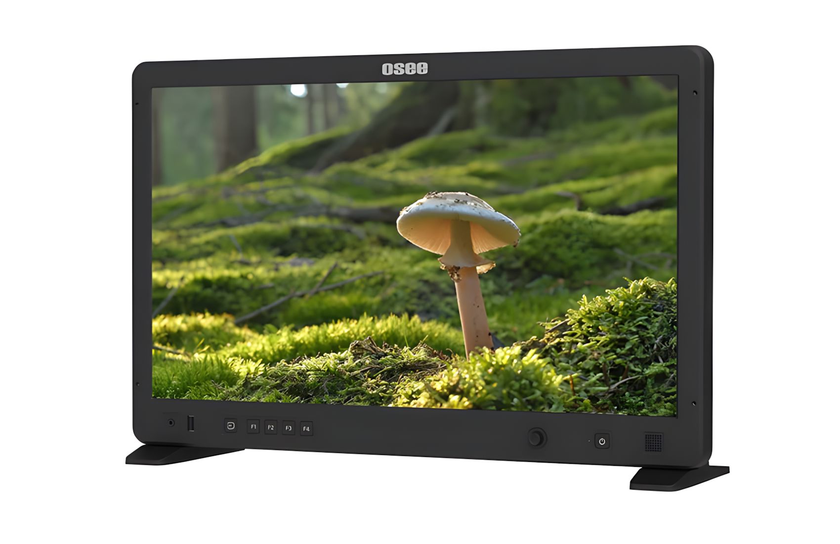 Megamon 22S HDR V-Mount