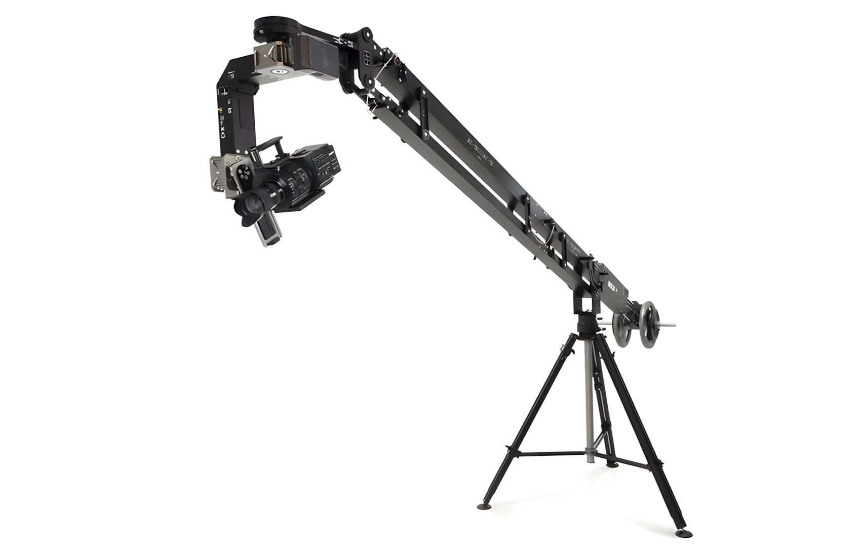 Bold-Jib
