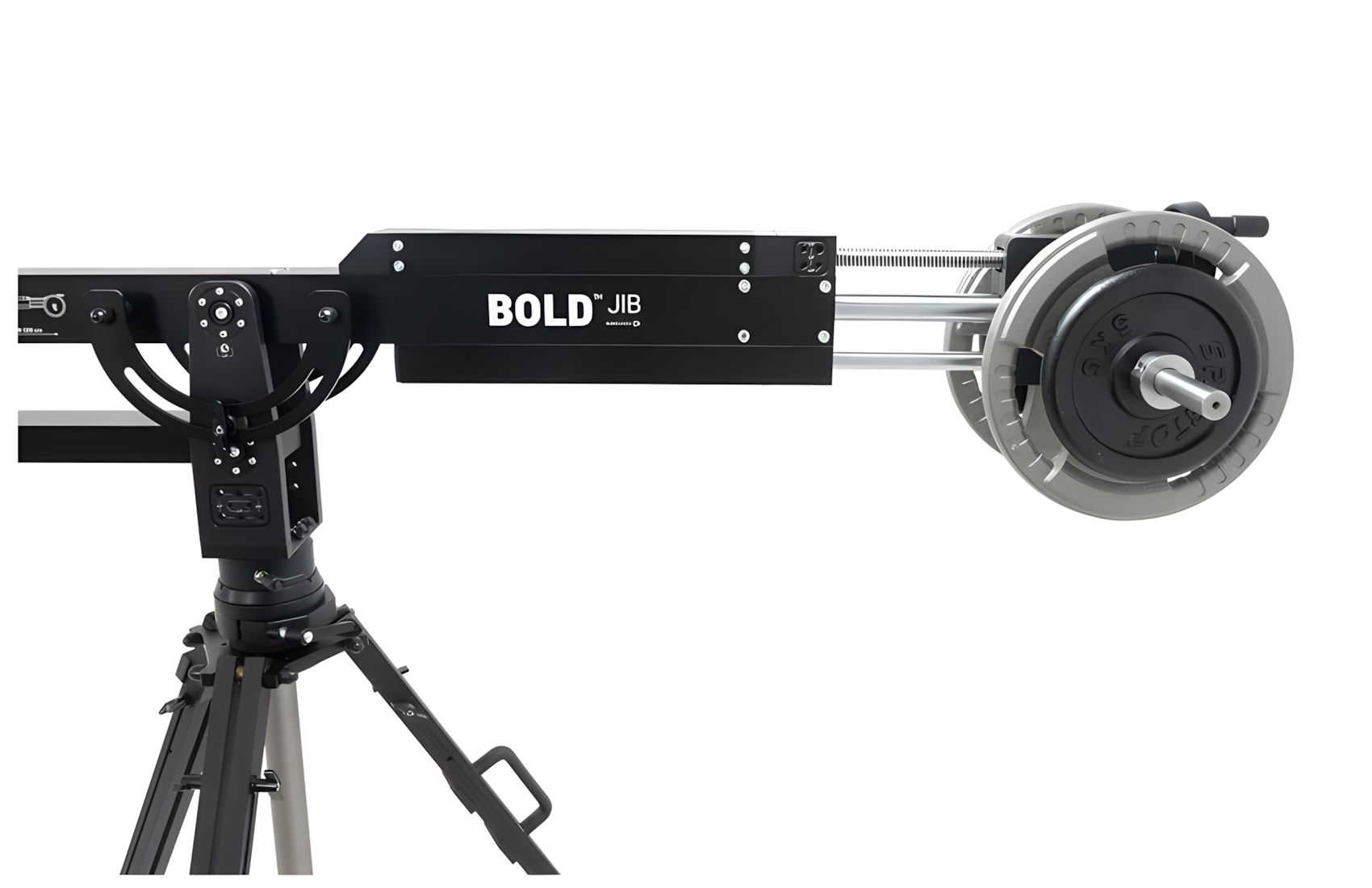 Bold-Jib