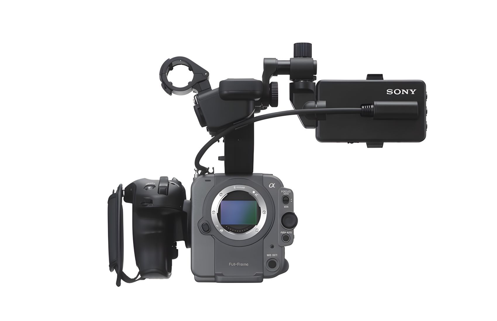 FX6V with 24-105mm f/4 Cinema