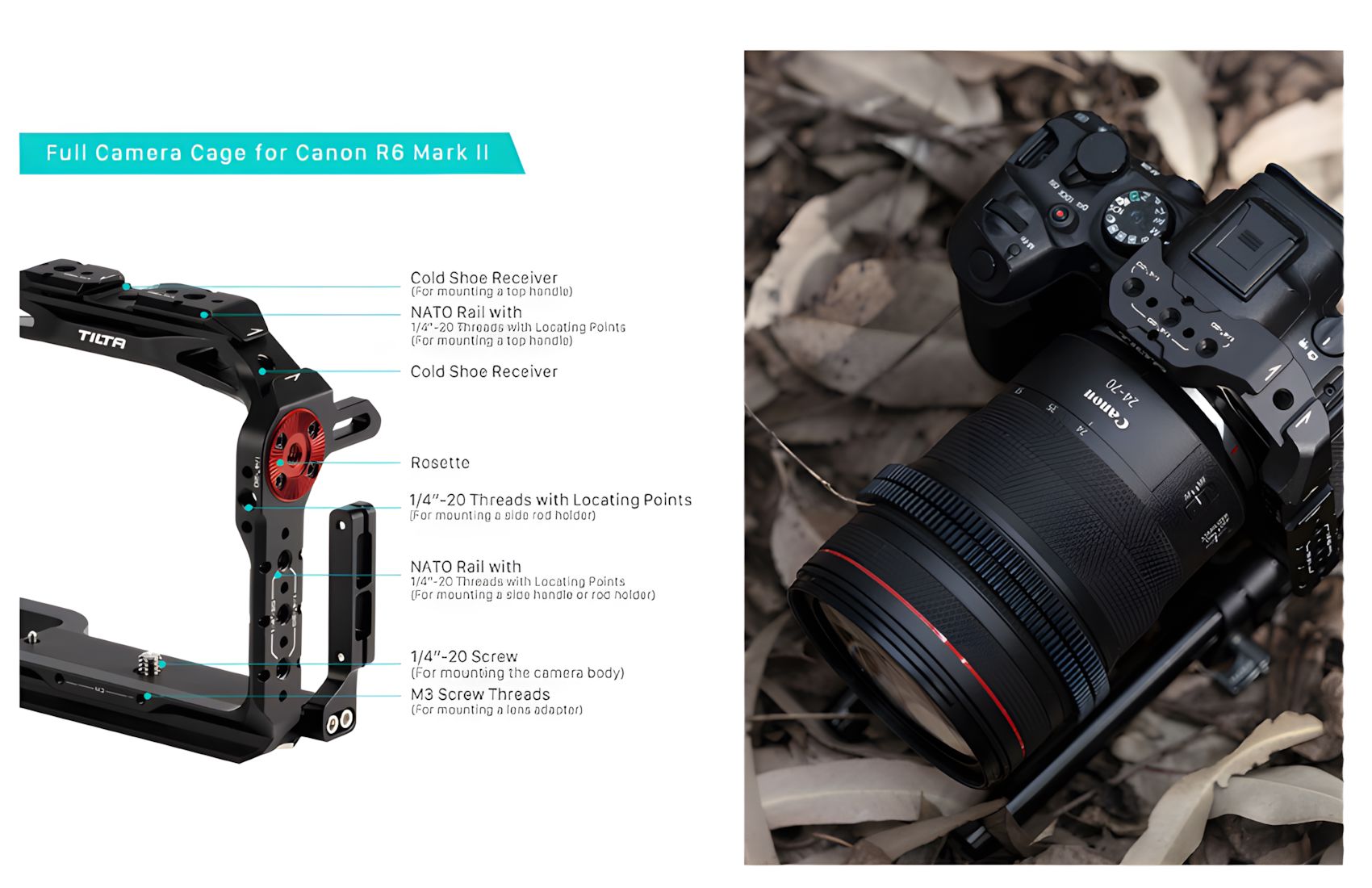 Full Canon R6 Mark II