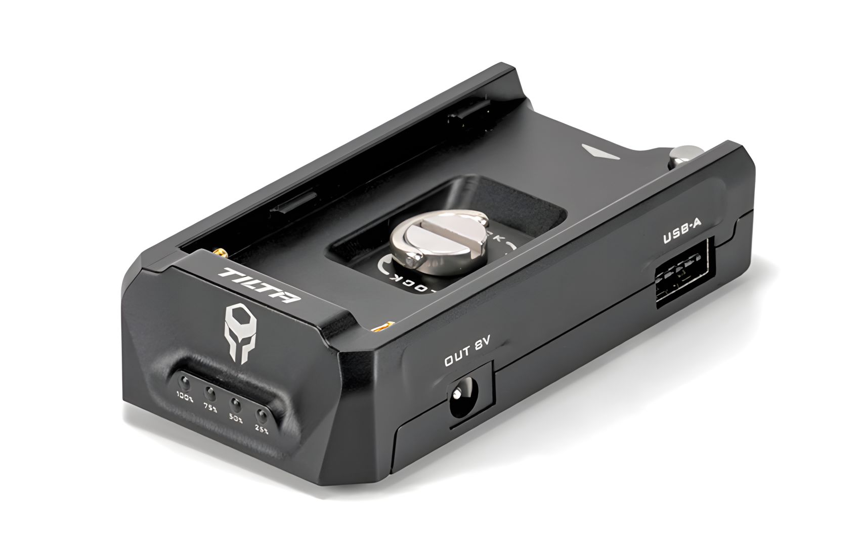 NP-F F970 Battery Plate