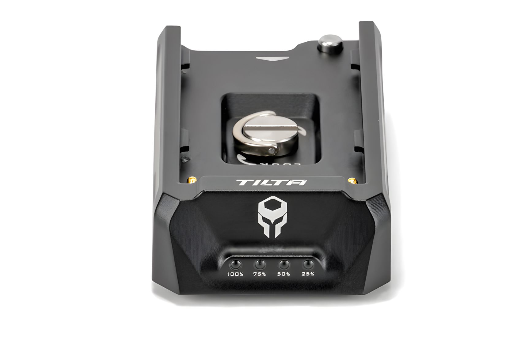 NP-F F970 Battery Plate