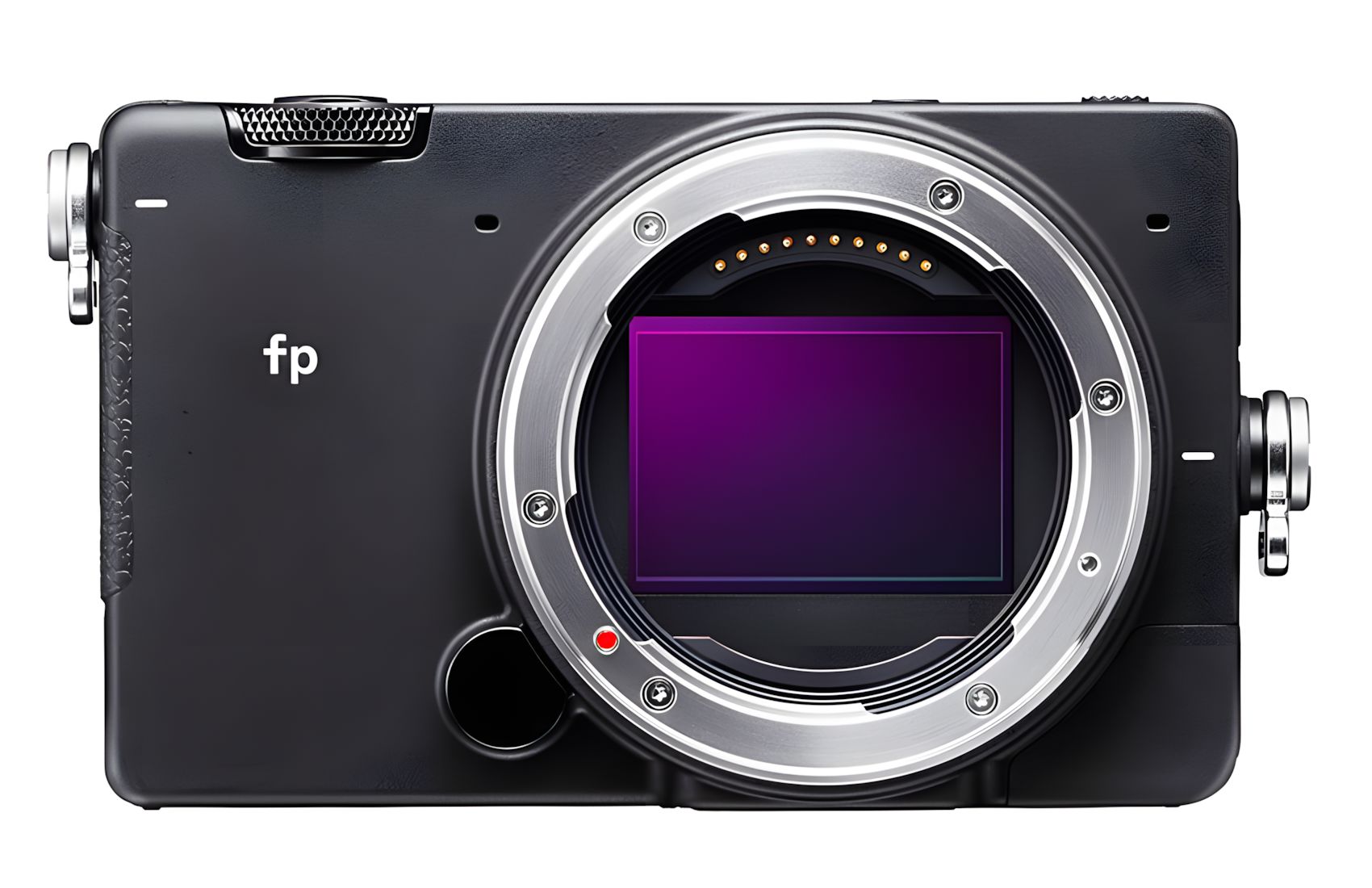 FP