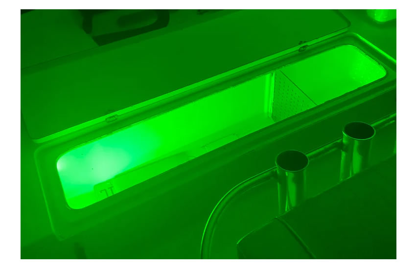 Rock Accent Green LED BL