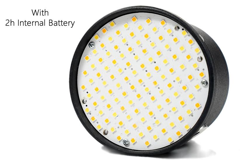 LED120W Bulk w 2h Batt